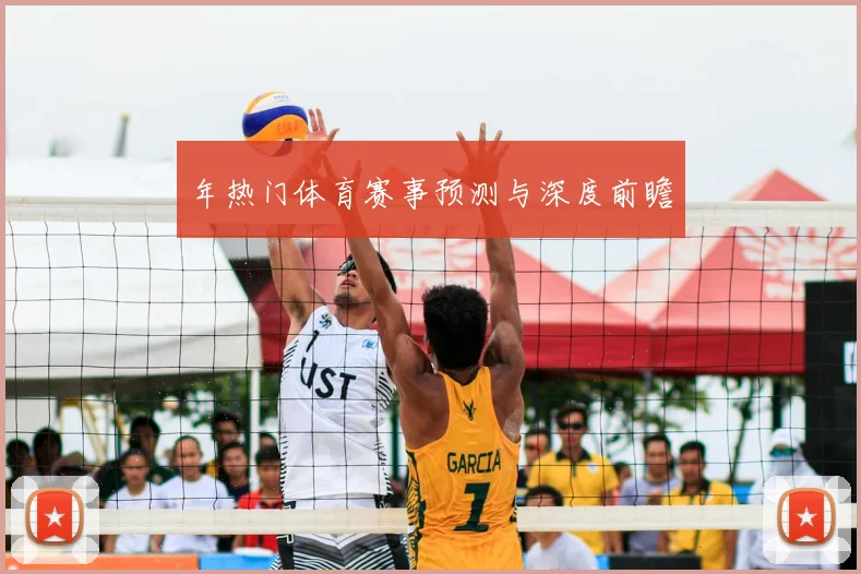年热门体育赛事预测与深度前瞻